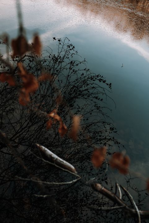 Momente — Bild 3 von Dana Schmidt Fotografie